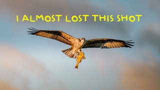 The One Critical Photography Mistake That Almost Cost Me