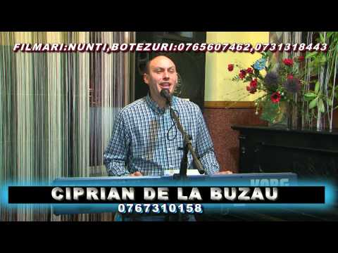 Ciprian de la Buzau COLAJ HORE