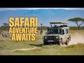 Is The Safari Worth It At The San Diego Zoo Safari Park
