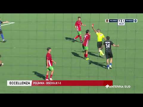 04 SEPTEMBER 2025 EXCELLENCE POLIMNIA BISCEGLIE 1 3