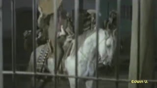 ANTONIO AGUILAR   Zapato de media suela HD HQ