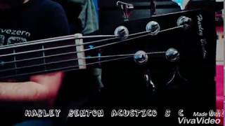 Video thumbnail for Harley Benton 5 Acoustic Bass B-35BK FOR LESS THAN 160 $  Acustico MENO DI 200 EURO!!! by Michele della Malva