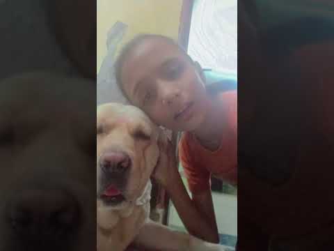 This is my Dog 🐕 #song //Hitakshi//
