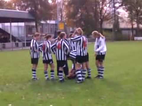 Romy moet verzorgd worden