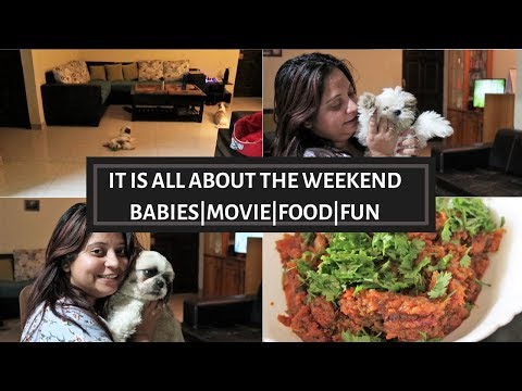 What My Dogs Do While I'M Not Home | Puppy Vaccination Day | Vlog With My Puppies