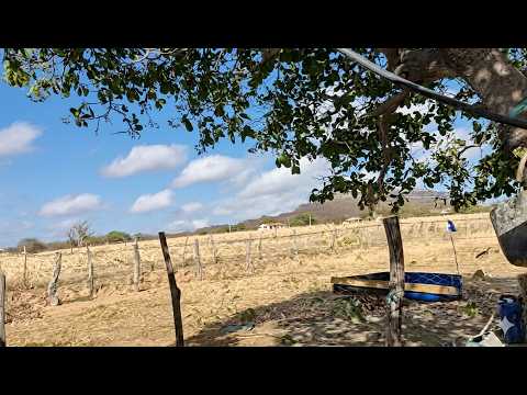 Ponta da serra aqui é na zona rural de Araripina Pernambuco