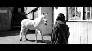 1987 - Michelle (Official Video)