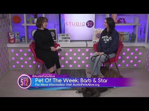 Pet Of The Week: “Barb”& "Star", From Austin Pets Alive! - YouTube