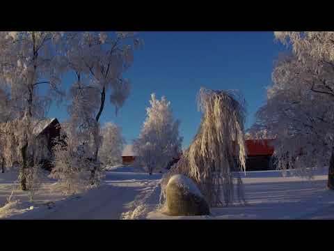 Vinterbilder fra Verdal.