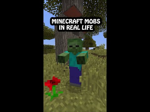 Real-Life Minecraft Mobs?! #ScaryShorts