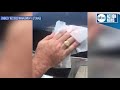 Cleaning hack: How to remove love bug guts from the hood of your car - ABC Action News Cleaning hack: How to remove love bug guts from the hood of your car