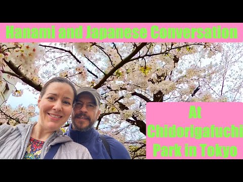Japan Vlog: Japanese, Cherry Blossoms and friends, Tokyo, Chidorigafuchi