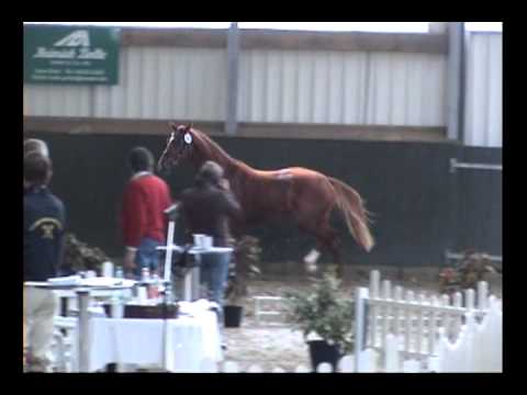 KVA Nr. 580 (Hepstedt) v. Londontime / Cordoba