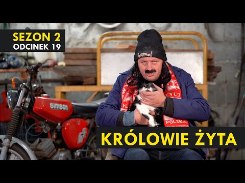 KRÓLOWIE ŻYTA Sezon 2 odc. 19 I Kabaret Malina