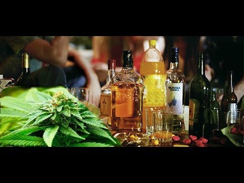 Mr Lezard - Kanna VS Pinard'