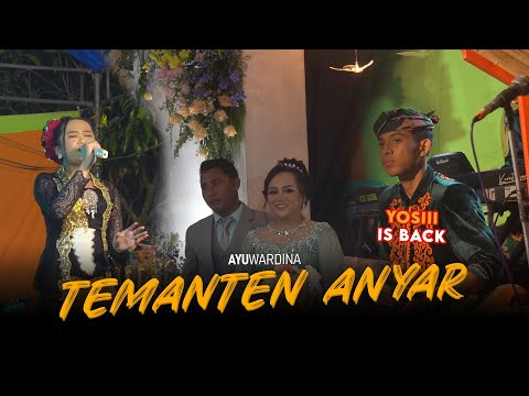 YOSI Koki Kendang (IS BACK) / KEMANTEN ANYAR ~ AYU WARDINA (Live Perform Kuwung Wetan)