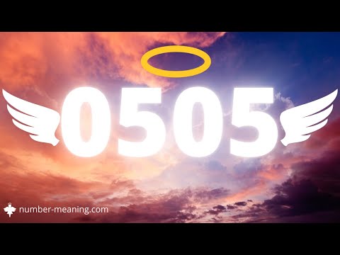 ANGEL NUMBER 0505 : Meaning