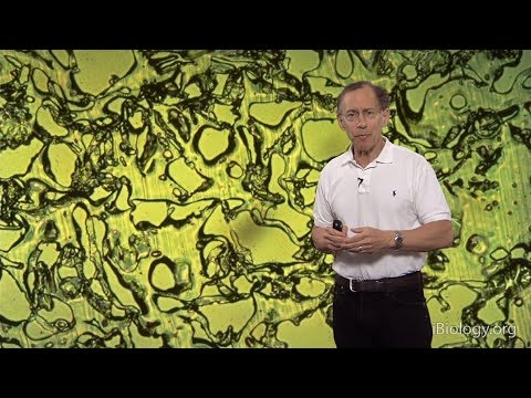 Robert S. Langer (MIT) Part 2: Drug Delivery Technology: Present and Future