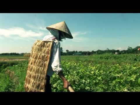 Tình mẹ - Đại Đức Thích Đạo Thịnh