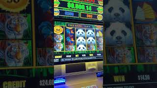 DRAGON LINK PANDA MAGIC FREE GAMES 🐼🎰 #slots #casino