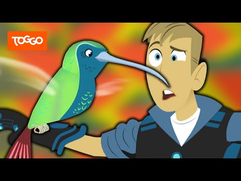 Go Wild! - Mission Wildnis | Der unfassbare Kolibri | Ganze Folge | TOGGO Serien