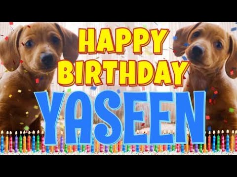 Happy Birthday Yaseen! ( Funny Talking Dogs ) What Is Free On My Birthday
