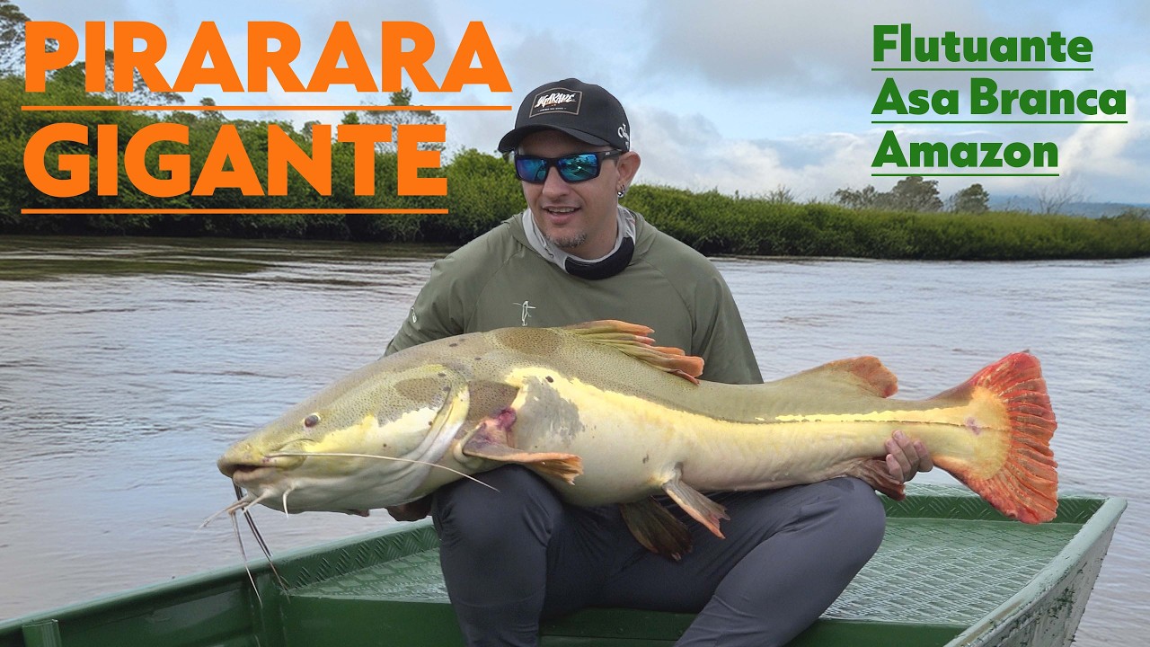 Léo Barabas e Xande do Barco Hotel Asa Branca, pegam uma enorme Pirarara