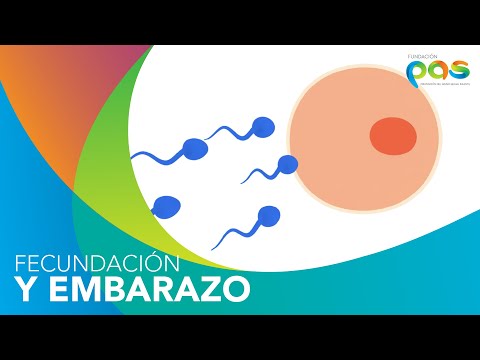 Fecundación y Embarazo - Fundación PAS