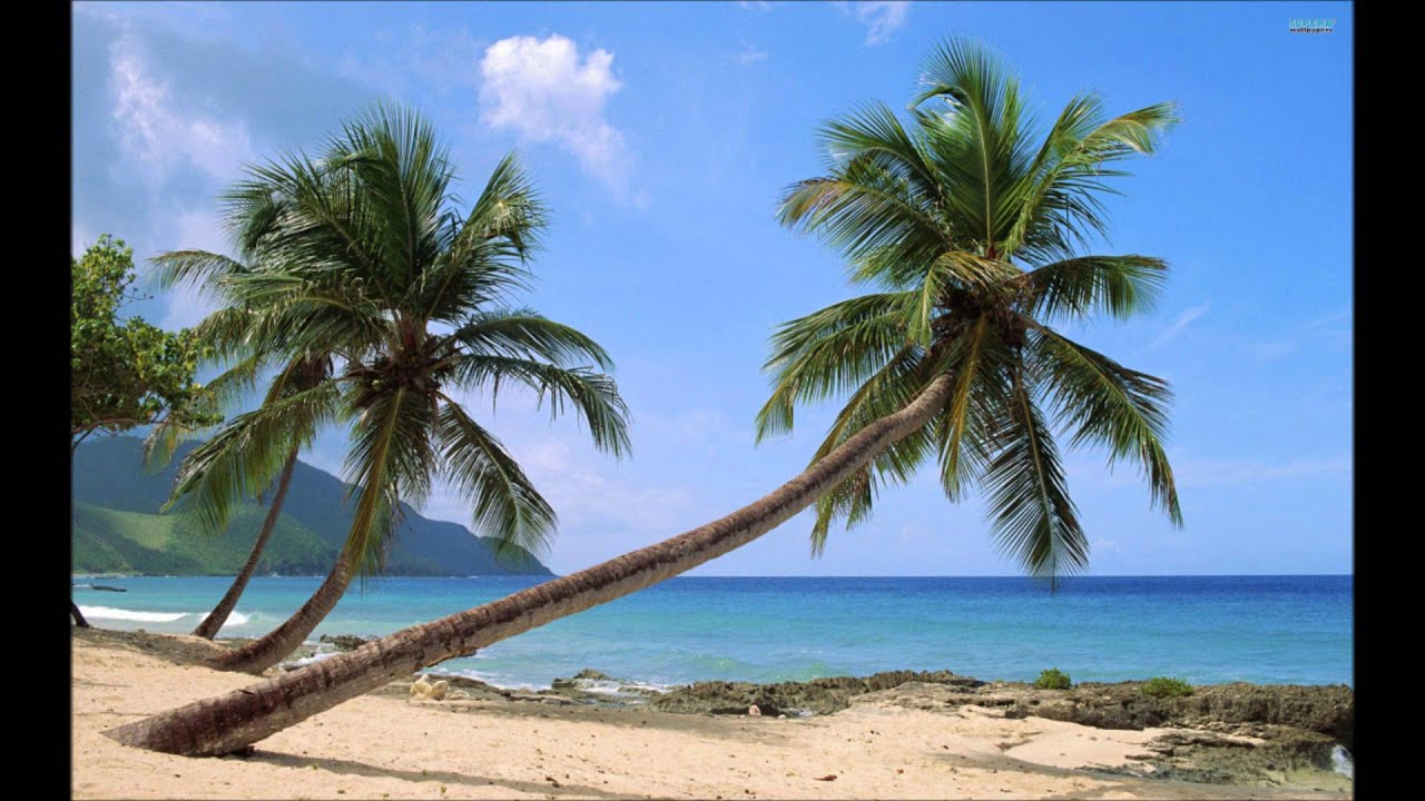 Hum Ko To Yaara Teri Yaari Lyrics  | Hum Kisise Kum Naheen | Rishi Kapoor, Kaajal Kiran | Asha Bhosle, Kishore Kumar | Rahul Dev Burman