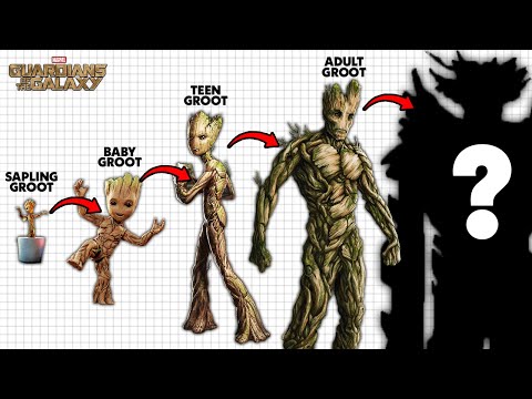 The Complete Life Cycle of Groot