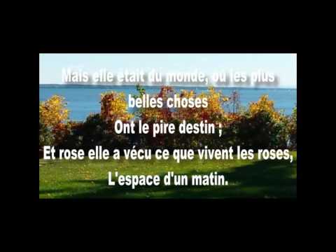 François de Malherbe Consolation par Rafik Baladi