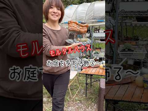 多肉植物-屋外センターピース-多肉植物-陶器