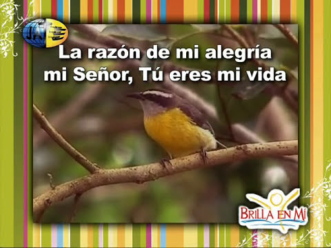 Mi Señor, Mi Vida video