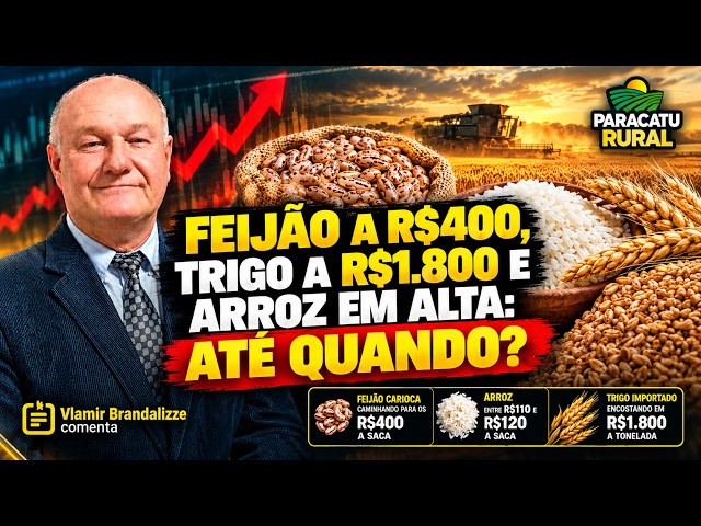 Feijão a R$400, Trigo a R$1.800 e  Arroz em Alta: Até Quando?