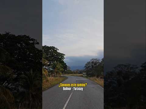 ¿Conoces este camino? 🙌#Aroa #Yaracuy #Venezuela #PedroCamino 🙌🌱