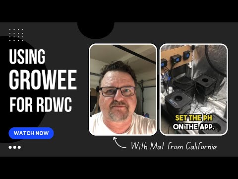 Growee hydroponics autmation for RDWC system | Setup review