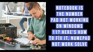 Notebook Is the Number Pad Not Working on Windows 11? Here’s How to Fix It, NumePad Not Work Solve