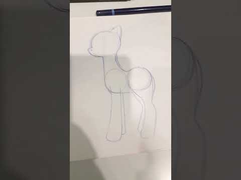 Mlp Bases