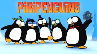 Piripenguins - Opening Theme Song!