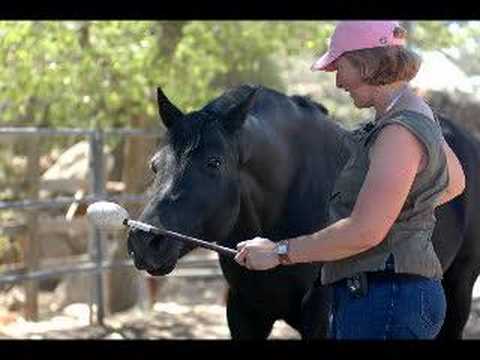 Linda Eskin teaches Clicker Training