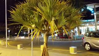 A Relaxing Stay in Tenerife 2019, Views from Parque Santiago III