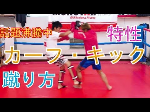 注目の【カーフキック】蹴り方、特性を徹底解説！実践！
《海人》選手《堀口恭司》選手
参考