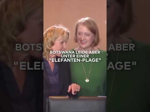 Video Thumbnail: "ELEFANTEN-PLAGE" IN BOTSWANA: Land will Elefanten nach Deutschland abschieben | WELT #shorts