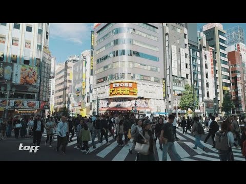 Traumziel Japan: Warum immer mehr Deutsche nach Tokio auswandern (Teil 2)