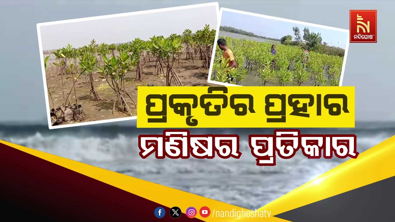 ପ୍ରକୃତିର ପ୍ରହାର – ମଣିଷର ପ୍ରତିକାର | NandighoshaTV