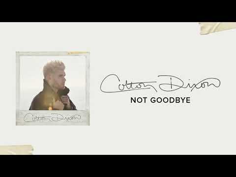 Thumbnail for Not Goodbye  video