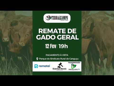 REMATE DE GADO GERAL | - CANGUÇU |  TERRA&CAMPO NEGÓCIOS RURAIS.