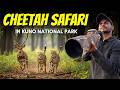 How To Spot CHEETAH In Kuno National Park Kuno Cheetah Safari India P1