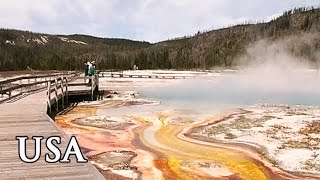 Yellowstone Nationalpark: USA - Reisebericht