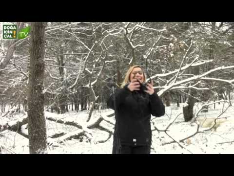 DOĞA İÇİN ÇAL 2 - KAMERA ARKASI